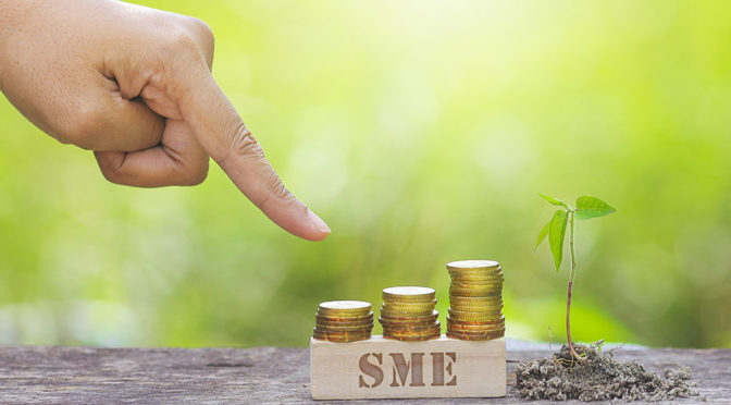 Accelerate Growth with Easy SME Loans